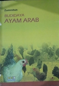 Image of budidaya ayam arab