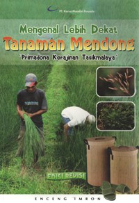 Image of Mengenal Lebih Dekat  Tanaman Mendong
